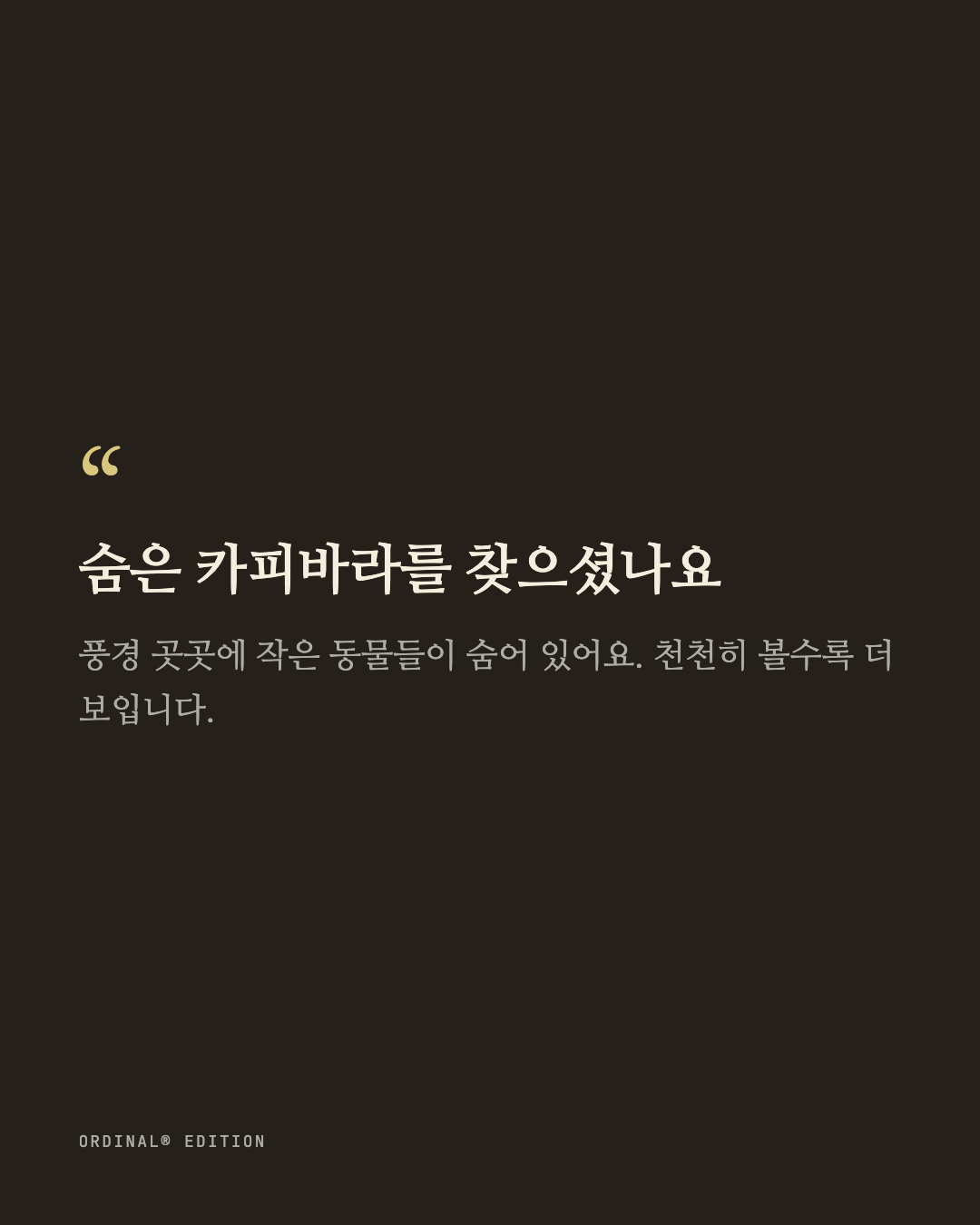 브랜드 캐러셀