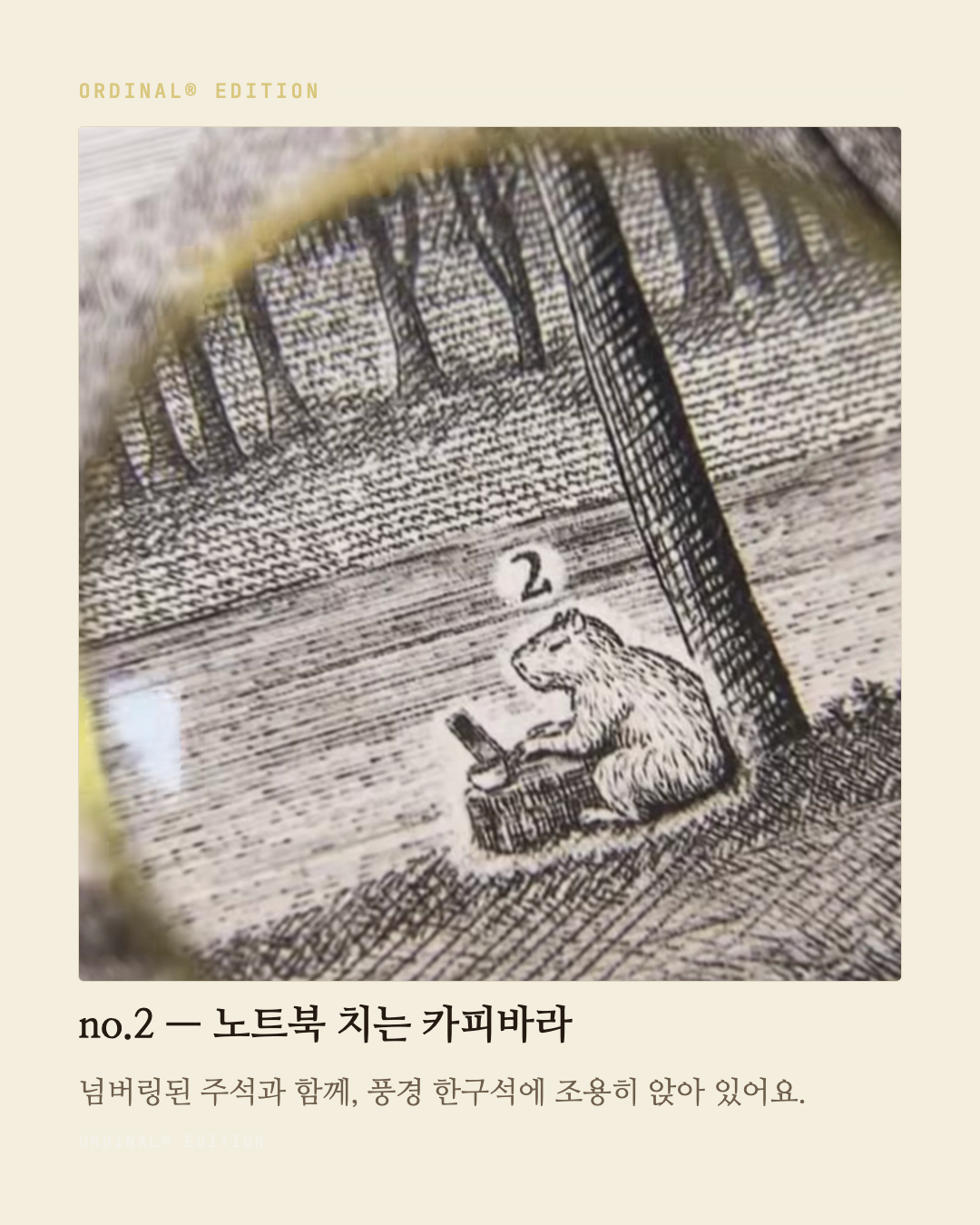 브랜드 캐러셀